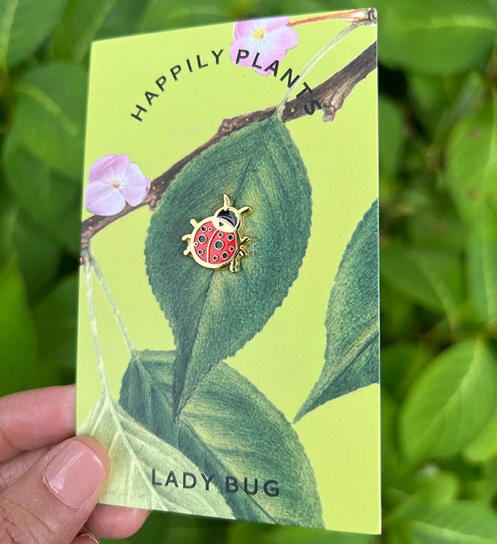 Cute Ladybug Lapel Pin