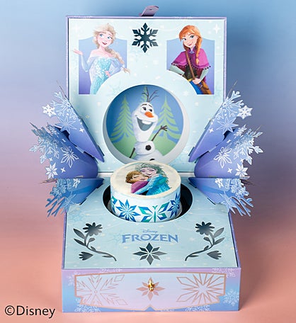 Disney Frozen Bloom Box