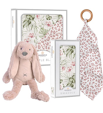 Pink Orchid And Green Dinosaur Gift Box Set