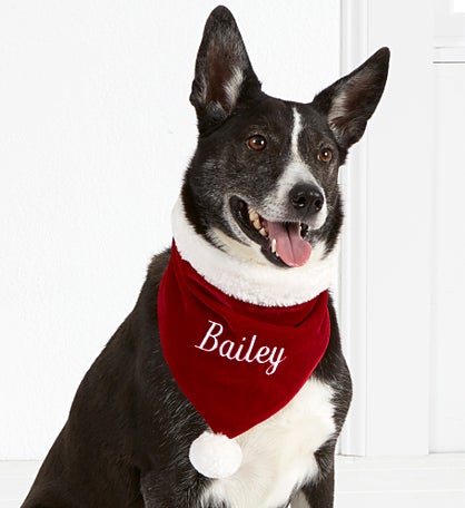 Santa Paws Personalized Velvet Dog Bandana