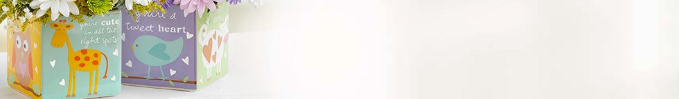 New Baby Flowers & Gifts New Baby Flowers & Gifts