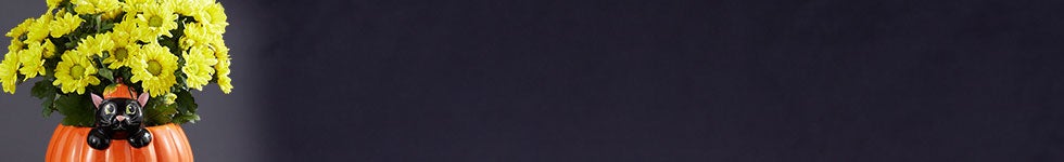 Halloween Flowers & Plants | 1-800-Flowers.com