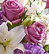 Sympathy Gifts & Funeral Flower Delivery | 1800Flowers