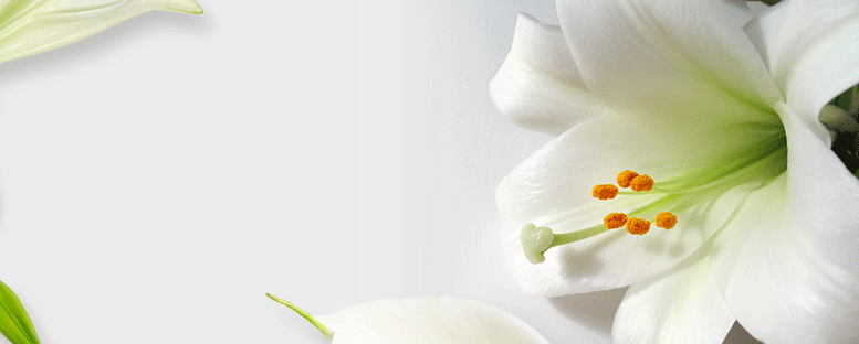 The Meaning of Funeral & Sympathy Flowers The Meaning of Funeral & Sympathy Flowers