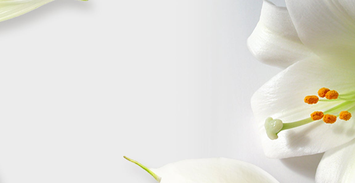 The Meaning of Funeral & Sympathy Flowers The Meaning of Funeral & Sympathy Flowers
