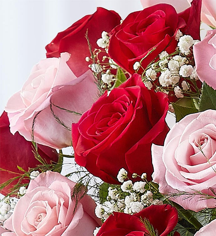 Ultimate Elegance™ Long Stem Pink & Red Roses