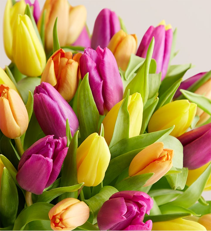 Splendid Beauty™ Bouquet | Bouquet of Spring Flowers