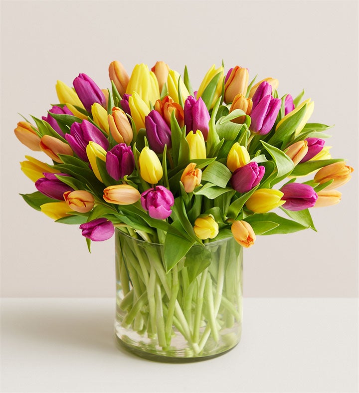 Deluxe Spring Assorted Tulip Bouquet, 60 Stems