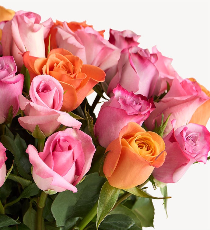 Sorbet Roses + Free Vase