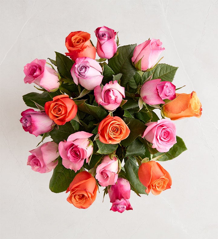 Sorbet Roses