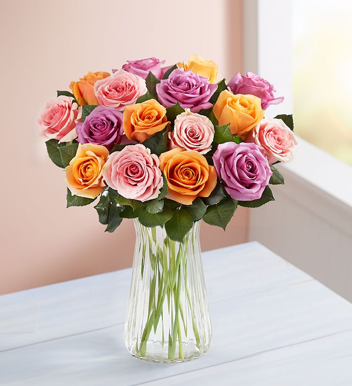 Sorbet Roses: Buy 12, Get 6 Free + Free Vase