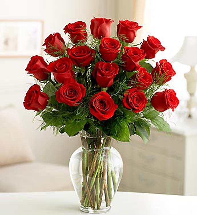 Rose Elegance™ Premium Long Stem Red Roses
