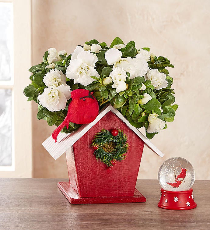 Christmas Birdhouse of Blooms®