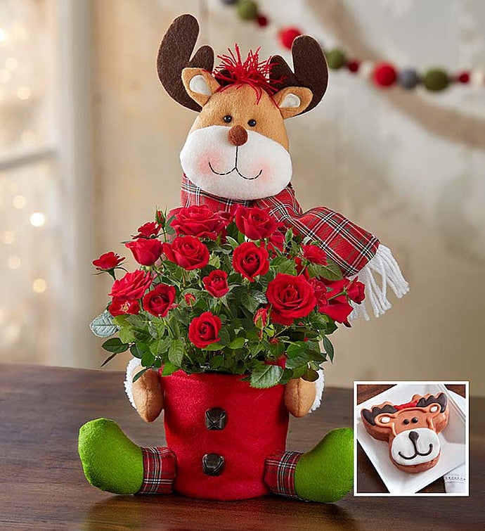 Rudy the Red Rose Reindeer
