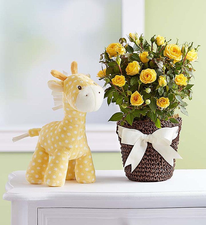 GUND® Baby Lolly Giraffe Rose Plant