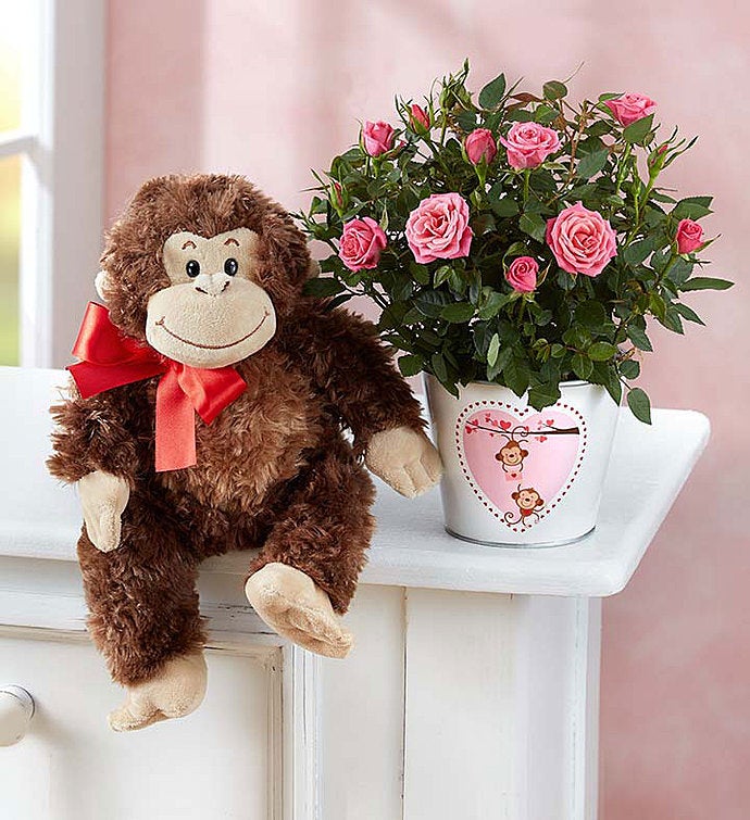 monkey love bbirthday monkey love bbirthday