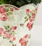 In Loving Memory Classic Rose Plant