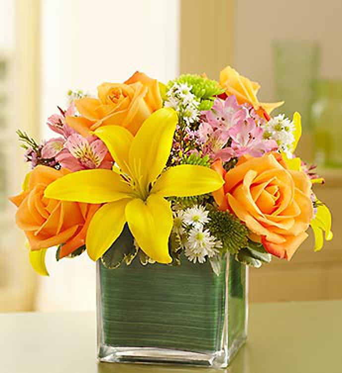 Fields of Europe™ in Cube Vase