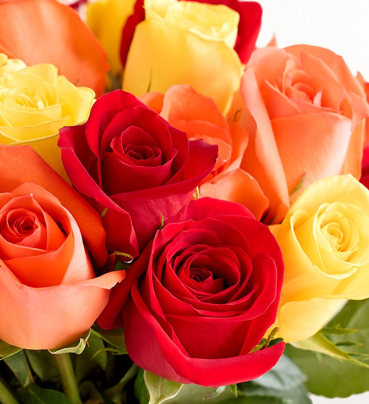 18 Stems Autumn Roses