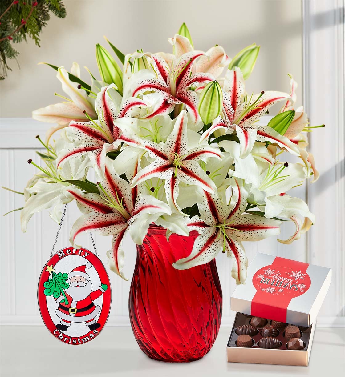 Candy Cane Lilies