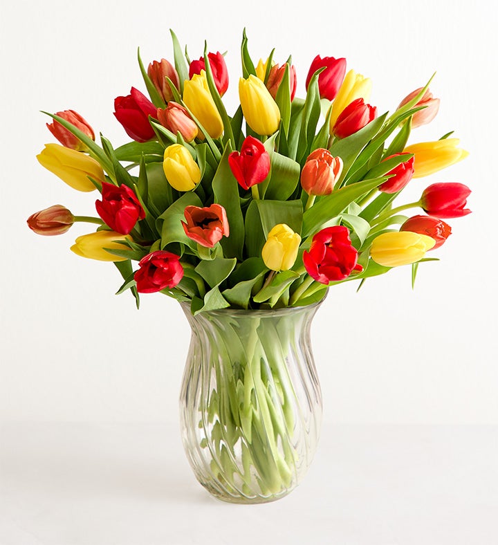 Our Favorite Fall Tulips™ + Free Vase