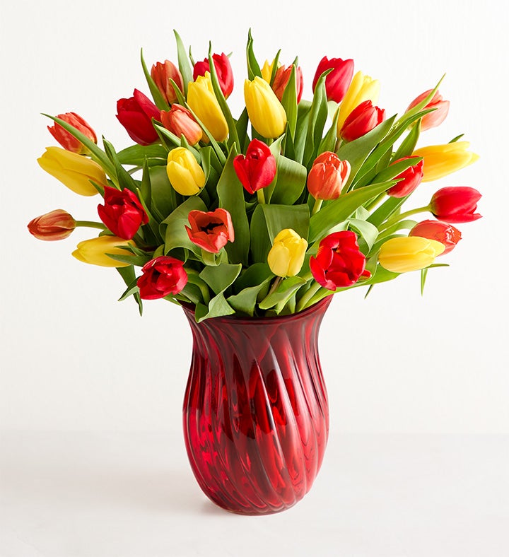 Assorted Fall Tulips
