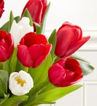 Merry and Bright Tulips