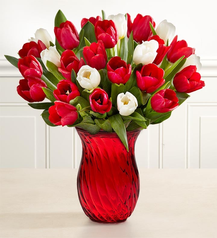 Holiday Tulips™