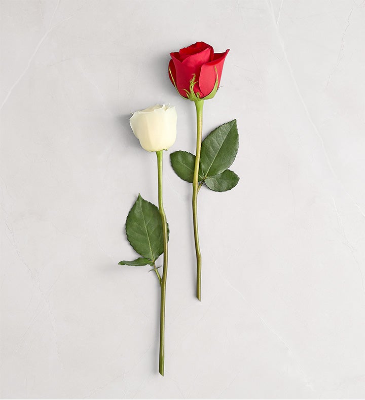 Peppermint Rose Bouquet