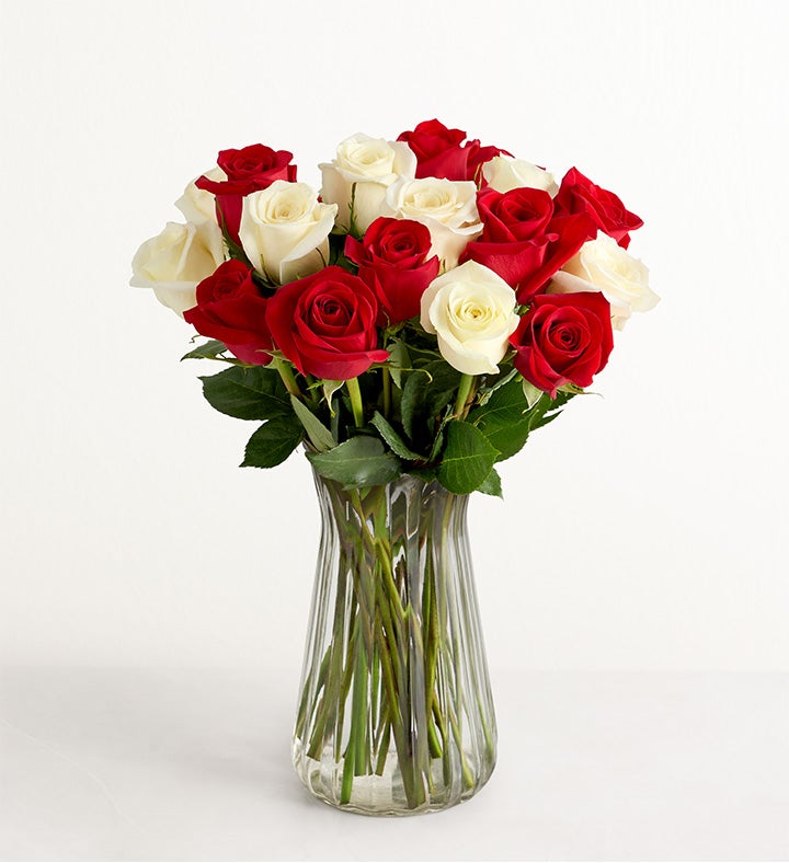 December Candy Cane Roses