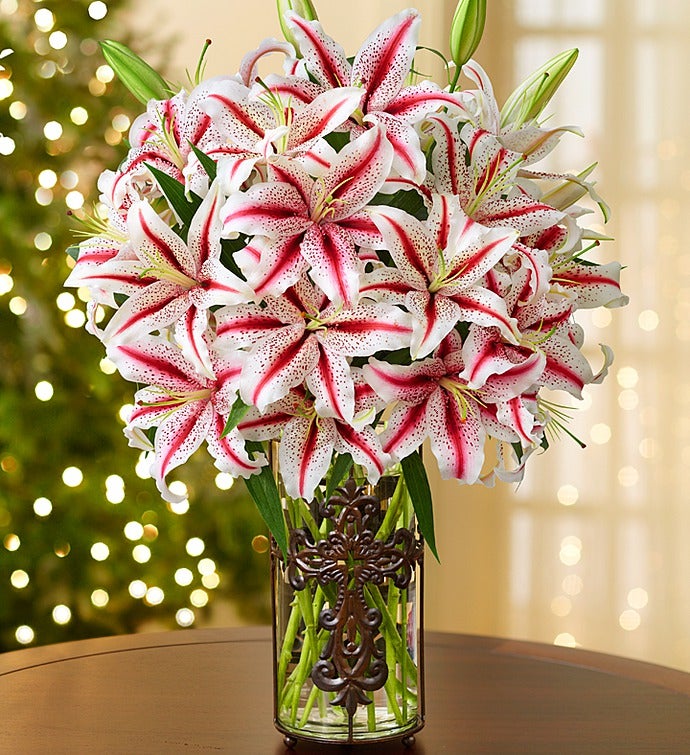 Candy Cane Lilies for Sympathy