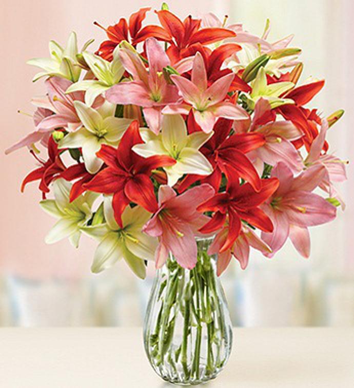 Beautiful Lilies