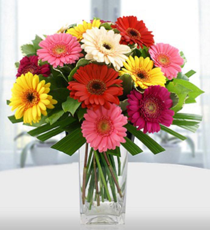 Gorgeous Gerberas