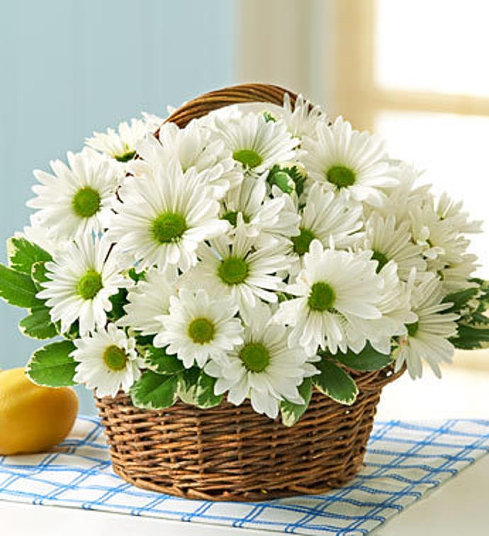 All White Daisy Basket