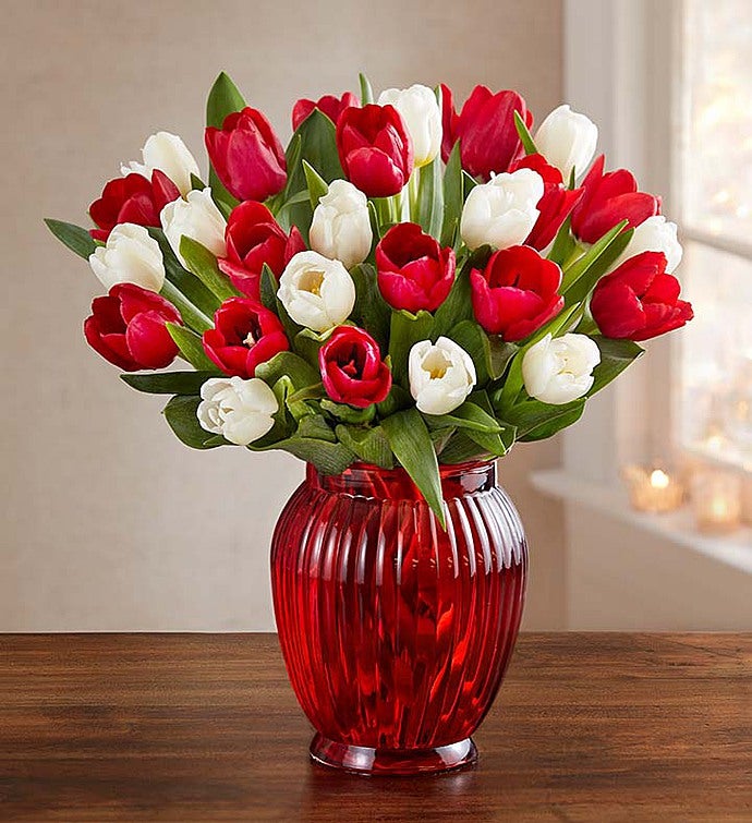 Holiday Tulips + Free Shipping