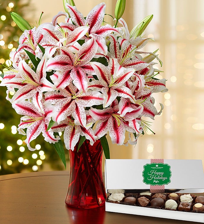 Candy Cane Lilies + Free Red Vase