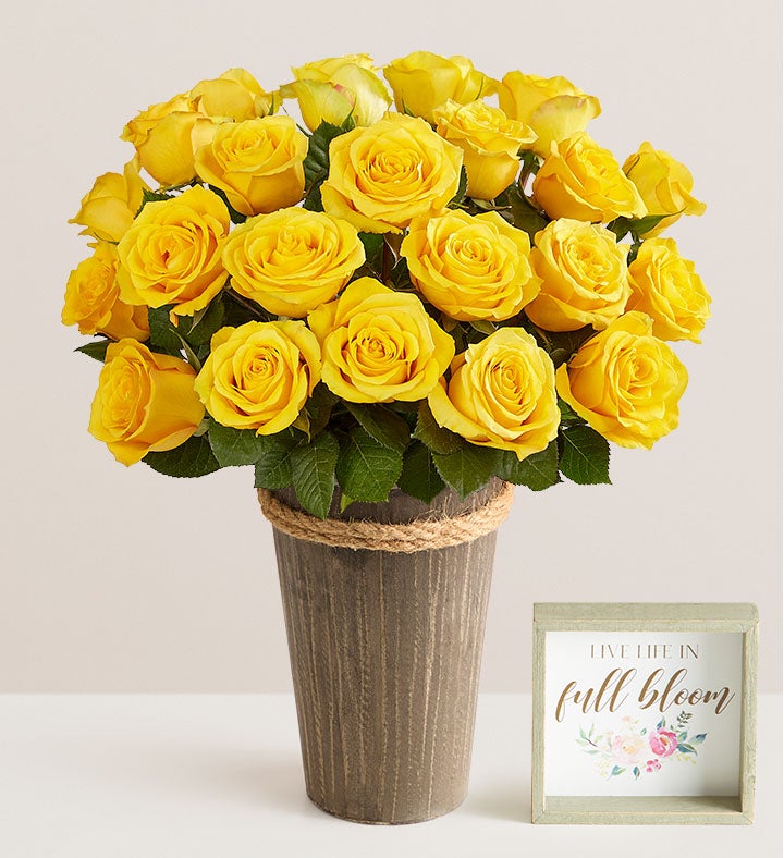 Yellow Roses
