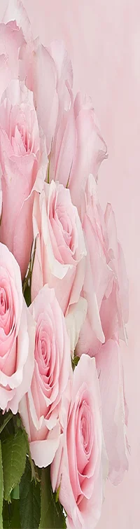 LoveShackFancy Pretty in Pink 