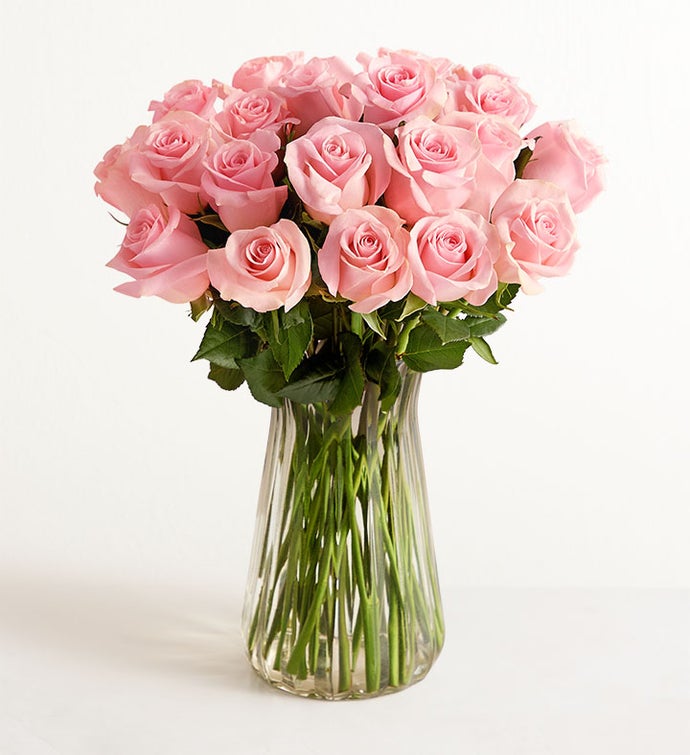 Two Dozen Pink Roses + Free Vase