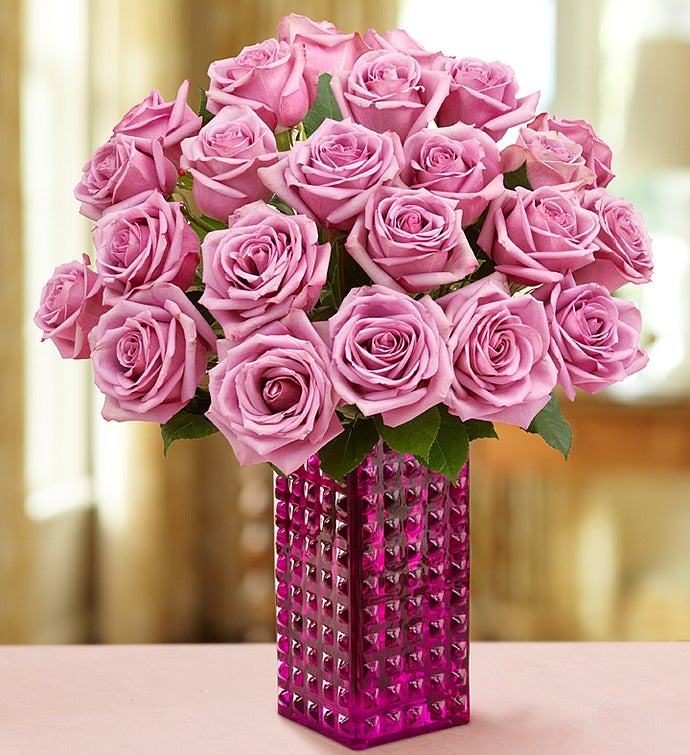 Passion for Purple Roses 12 24 Stems