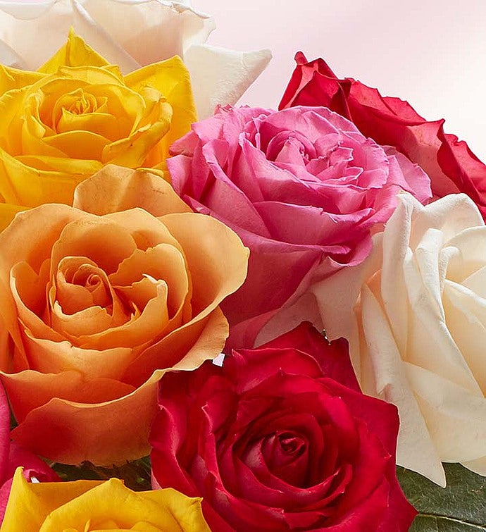 Congratulations Assorted Roses: 12 24 Stems