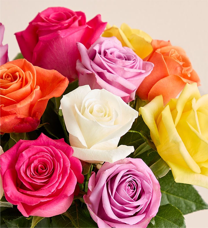 Congratulations Assorted Roses: 12-24 Stems