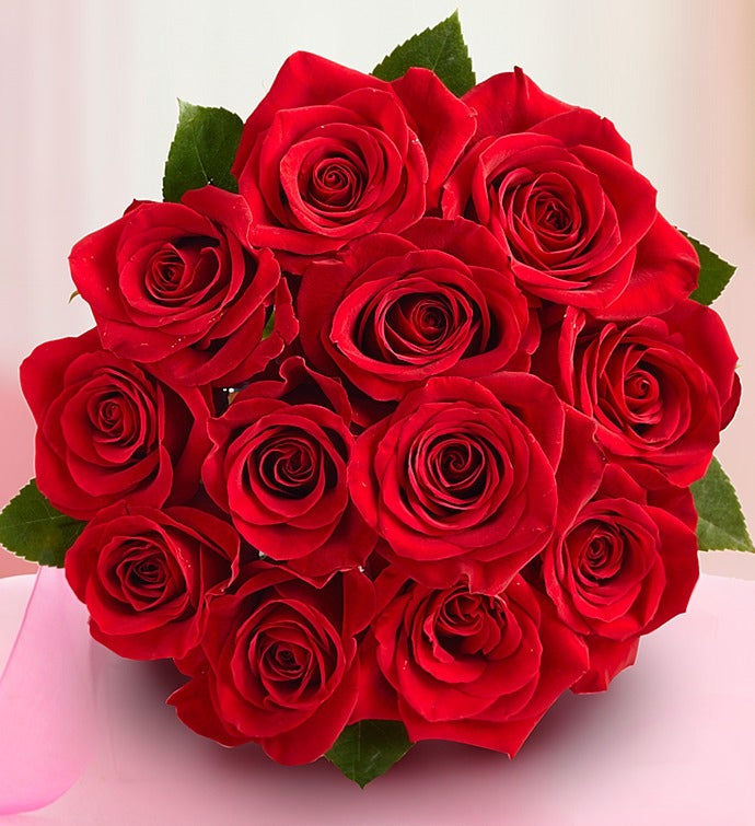 One Dozen Red Romance Roses