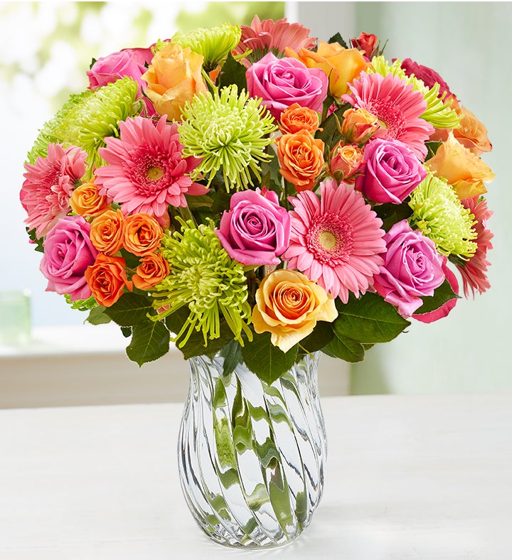 Vibrant Blooms: Double Your Blooms for $39.99