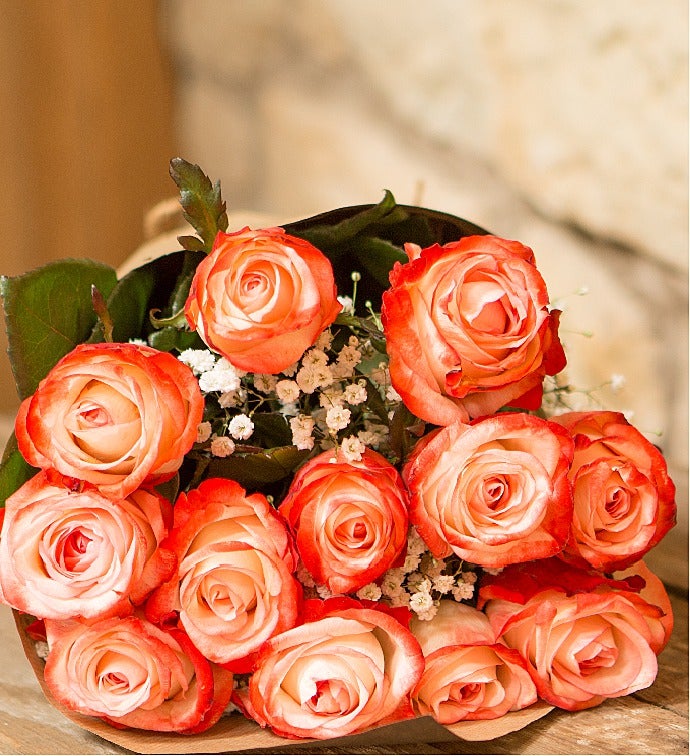Coral Roses, 12 Stems