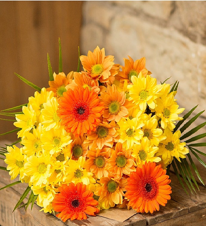 Oranges and Lemons