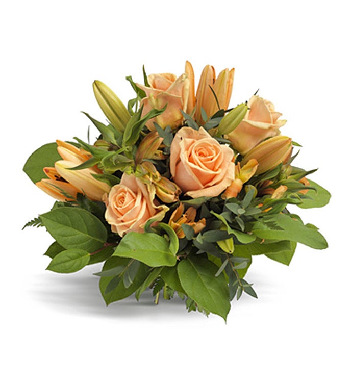 Flourishing Favourite