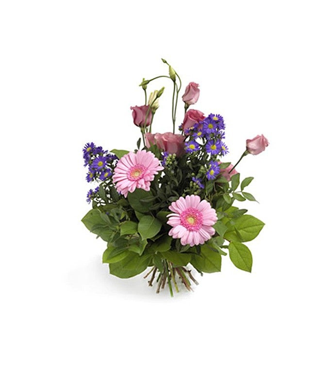 Popular Purple and Pink