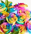 Kaleidoscope Roses