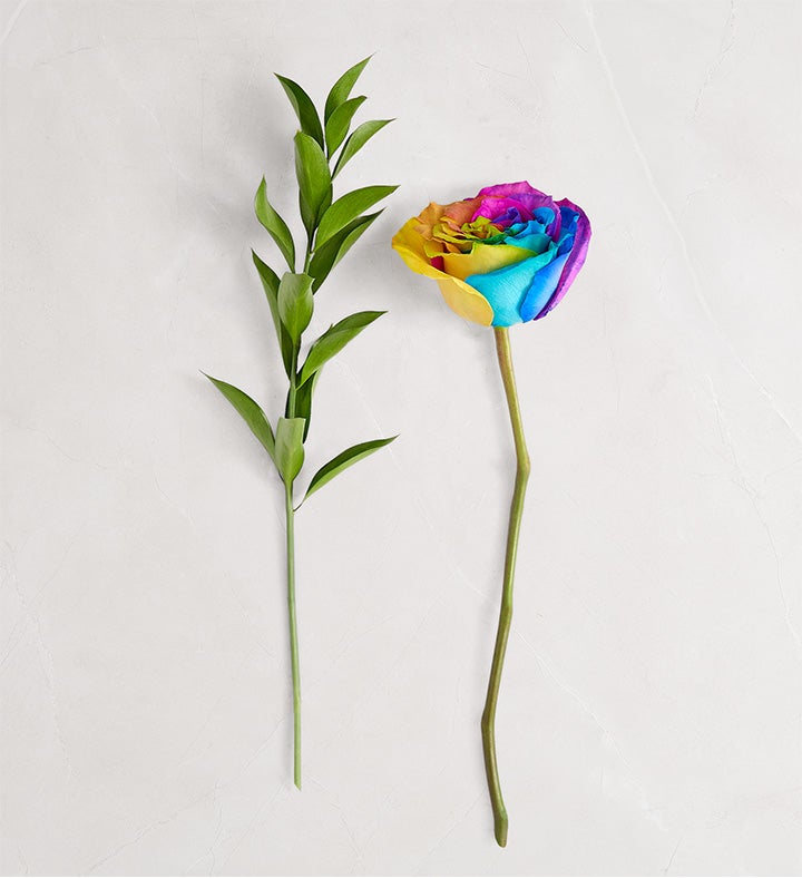 Kaleidoscope Roses